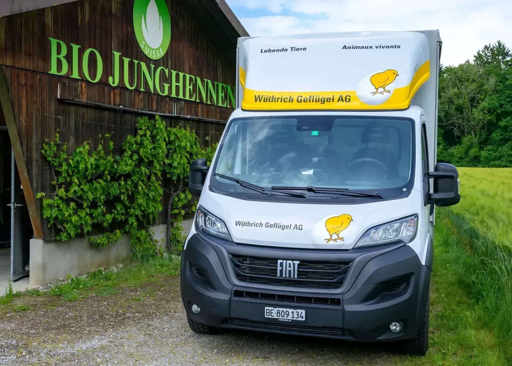 Geflügeltransporter